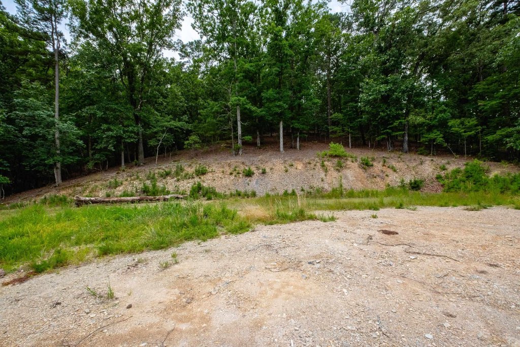 Picture 6