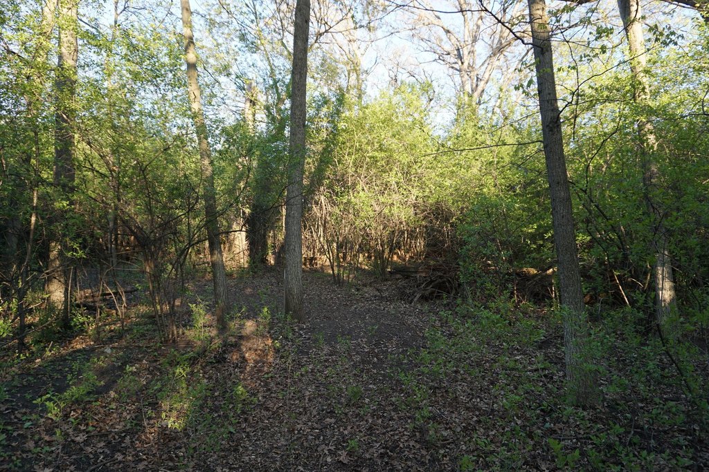 Picture 8