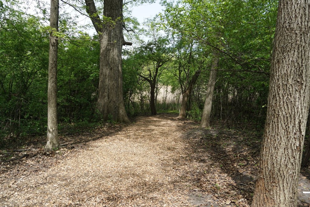 Picture 11