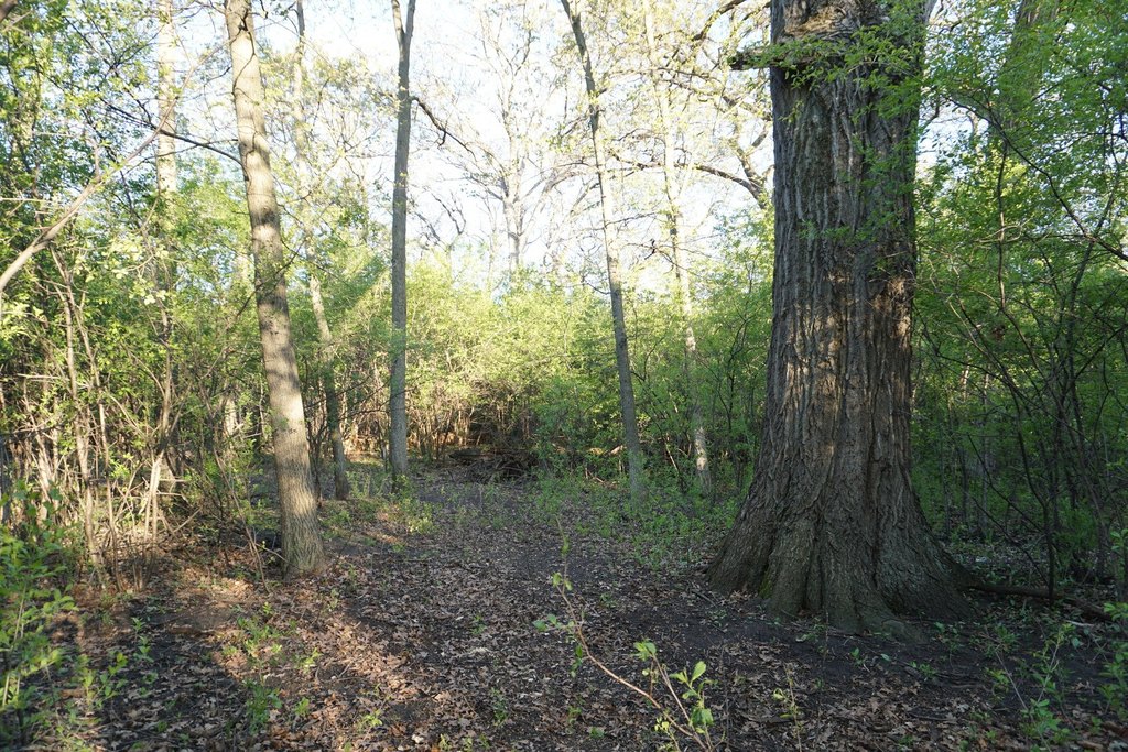 Picture 9