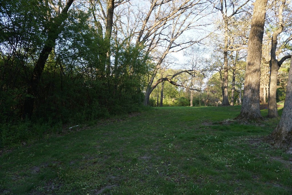 Picture 7