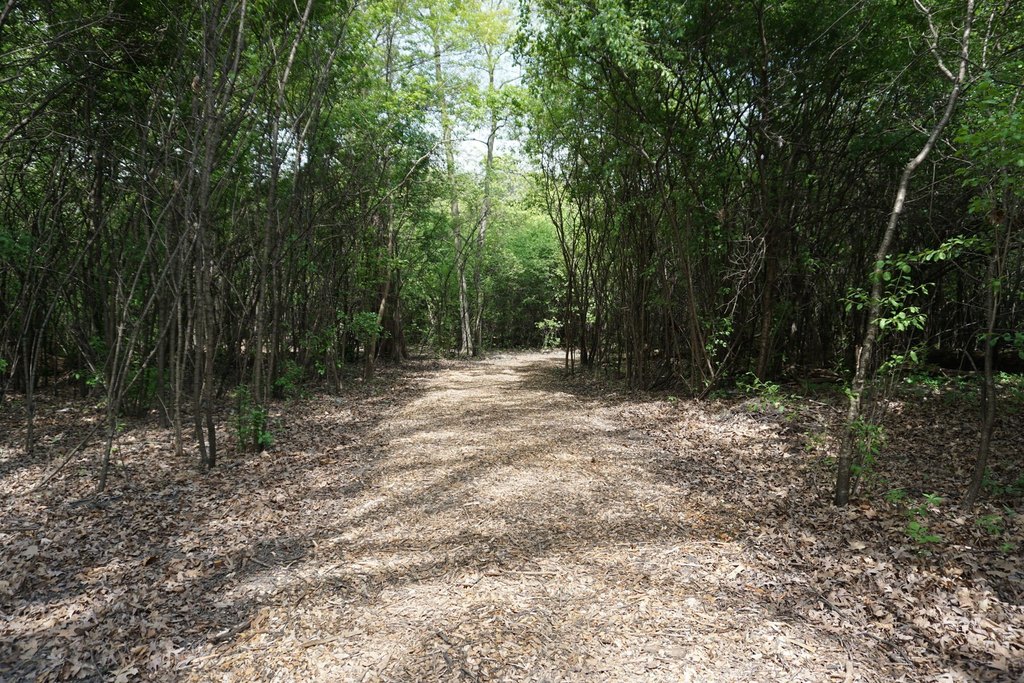 Picture 10