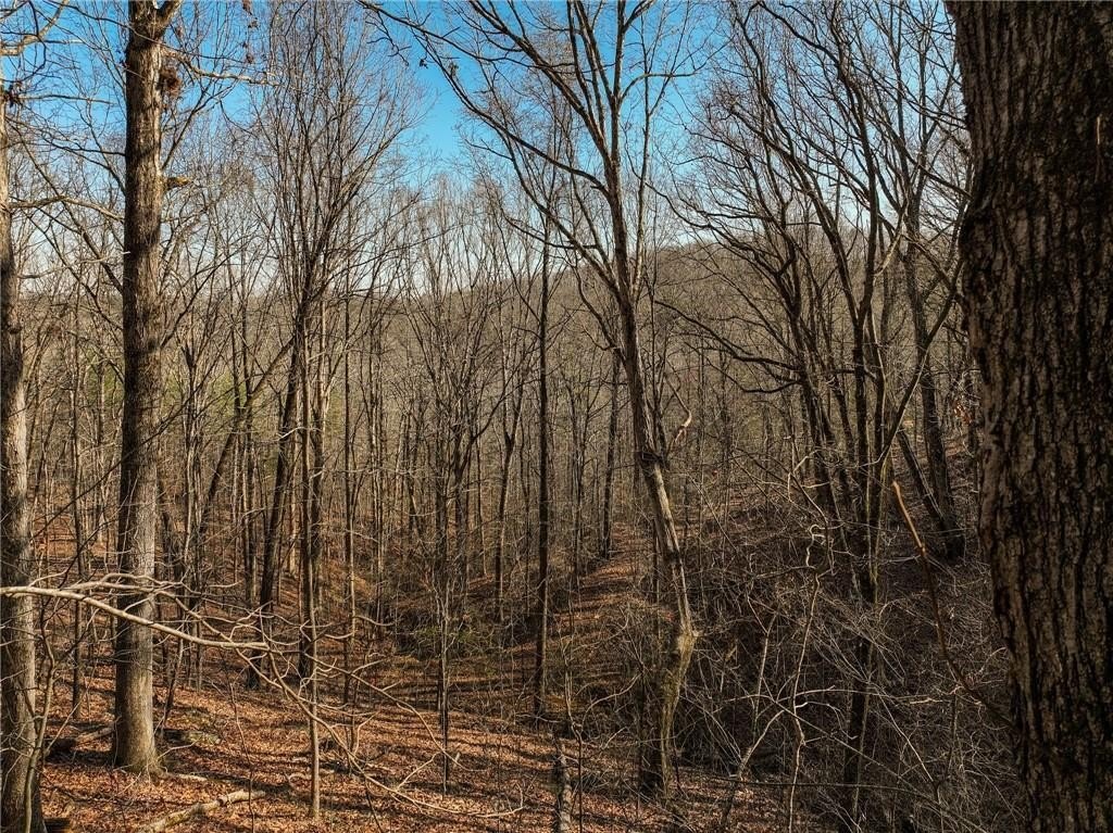 Murrayville, GA Estate Lot