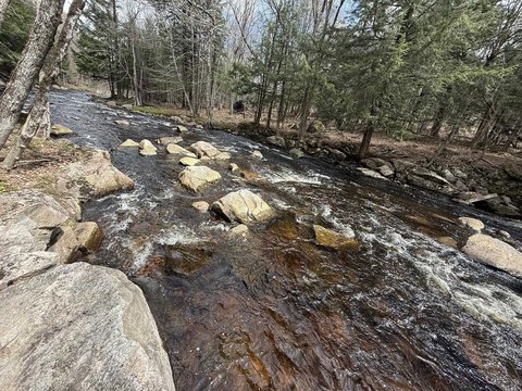 Adirondack Land with Waterfront Cottage