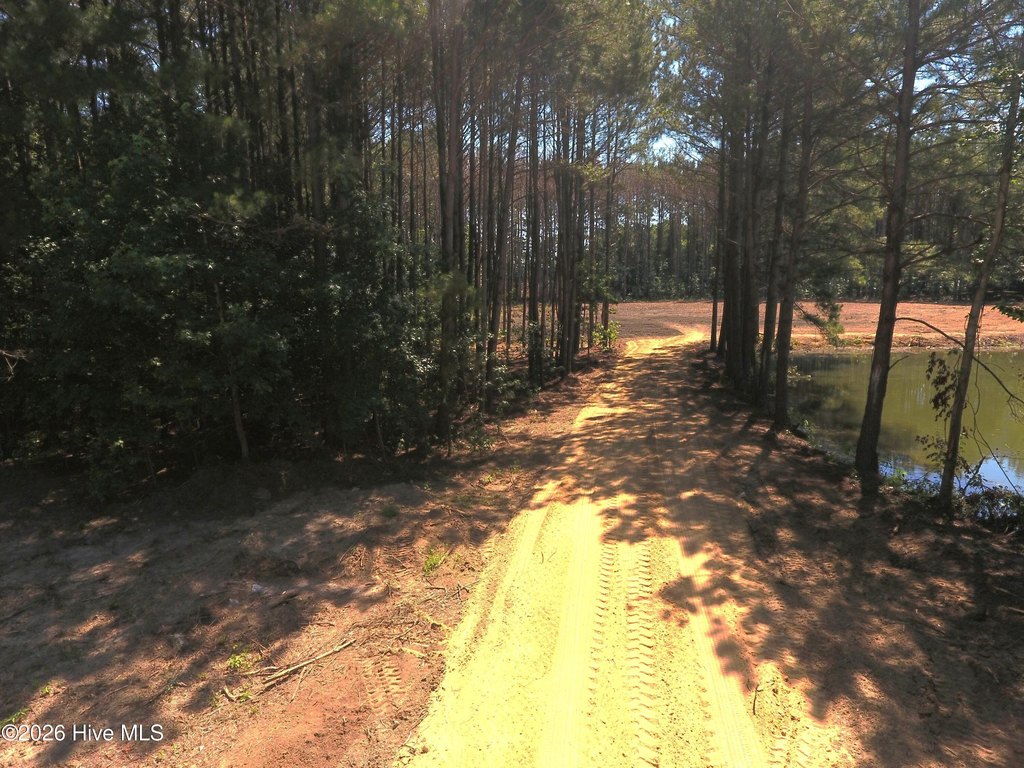 Picture 10