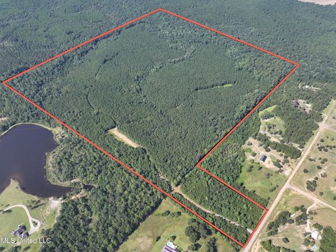Versatile Land in Lucedale, MS