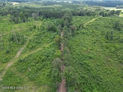 LAND - Mendenhall, MS