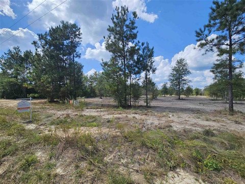 Cleared Land in Brinley Estates