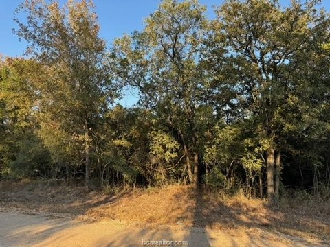 Land, Caldwell, TX