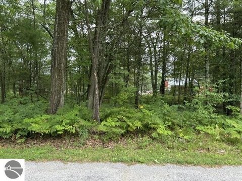 Vacant Lot/Land, East Tawas, MI