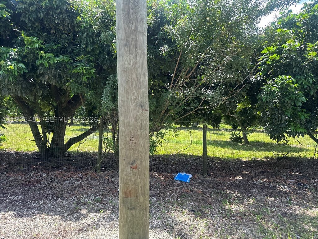 Picture 25