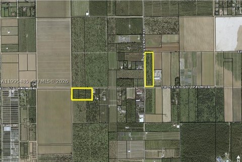 15.6 Acres Longan Grove