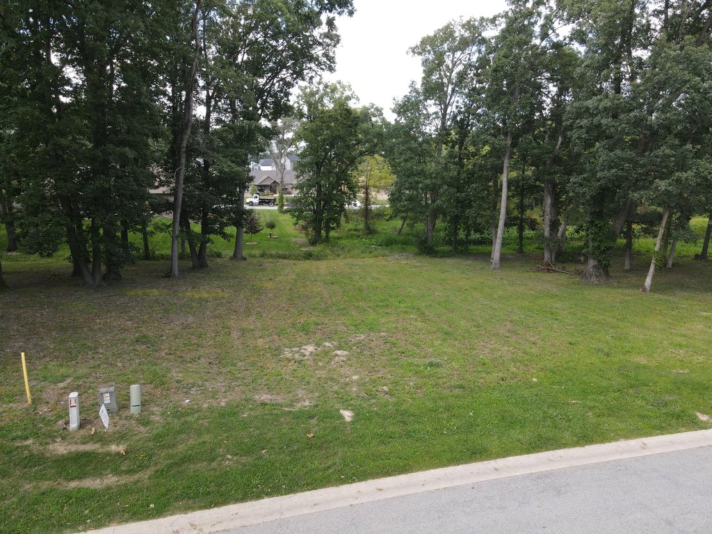 Picture 2