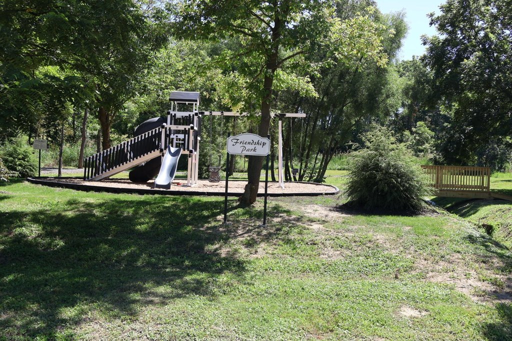 Picture 8