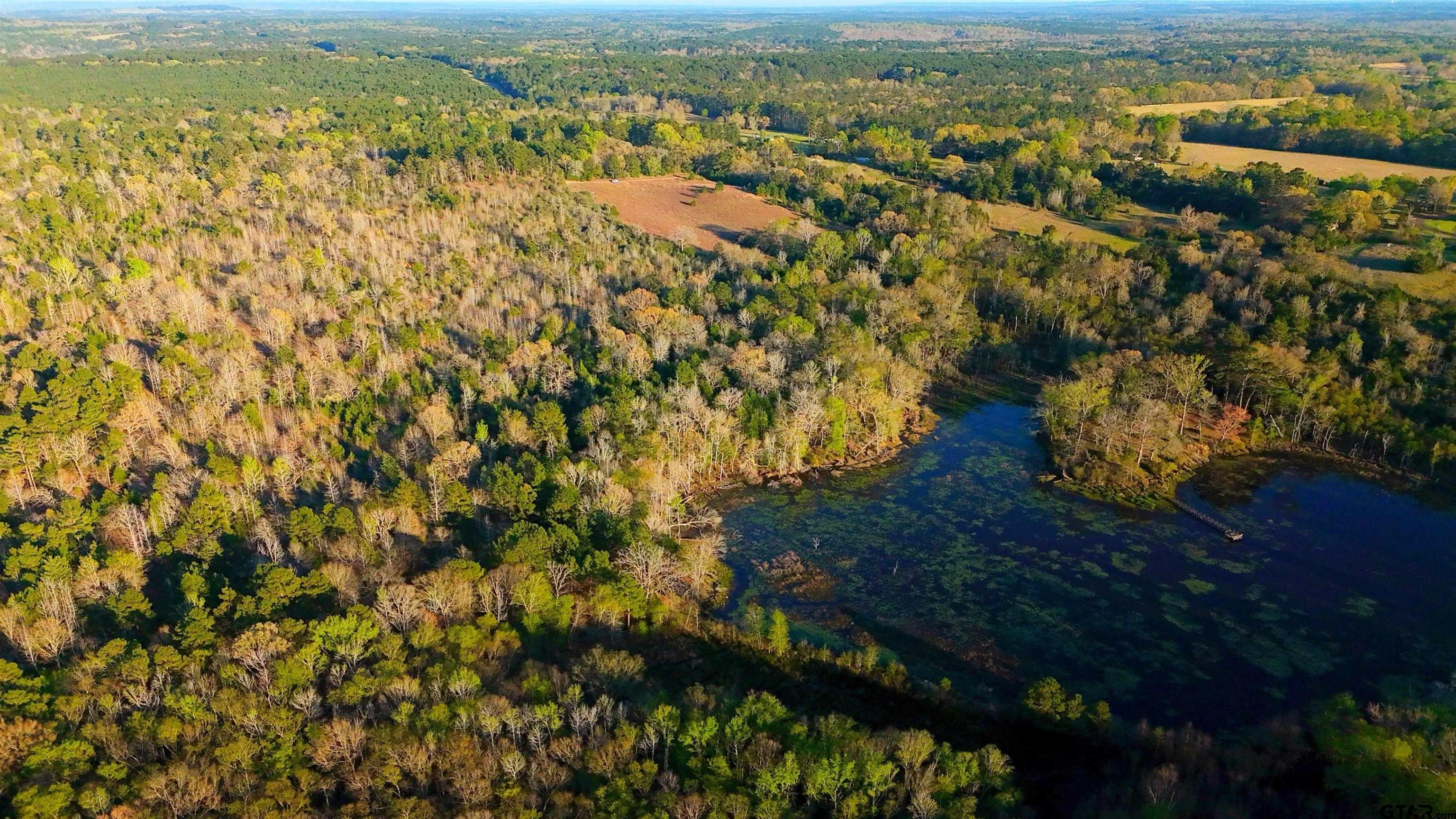 Undeveloped Acreage in Elmwood Community