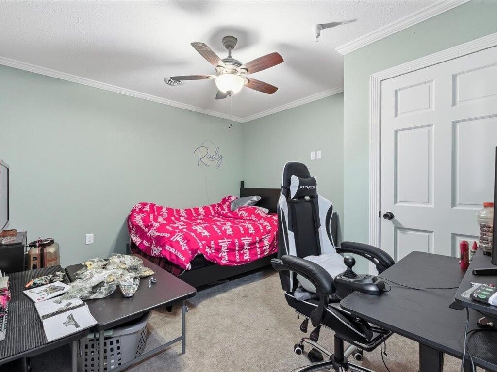 Picture 27