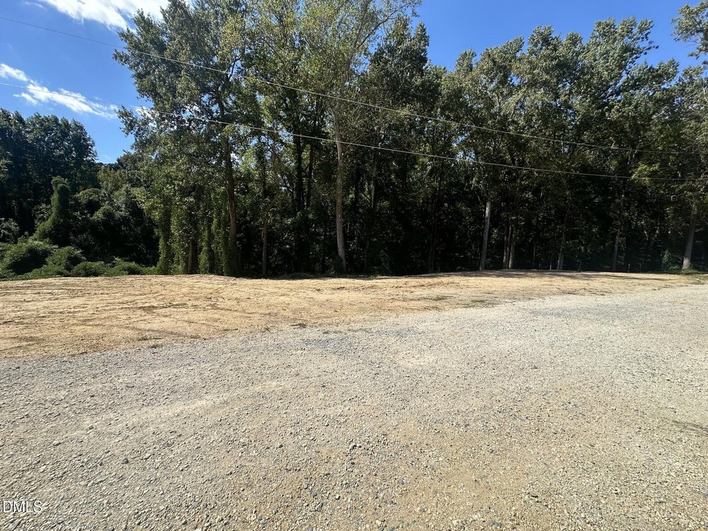 Picture 7
