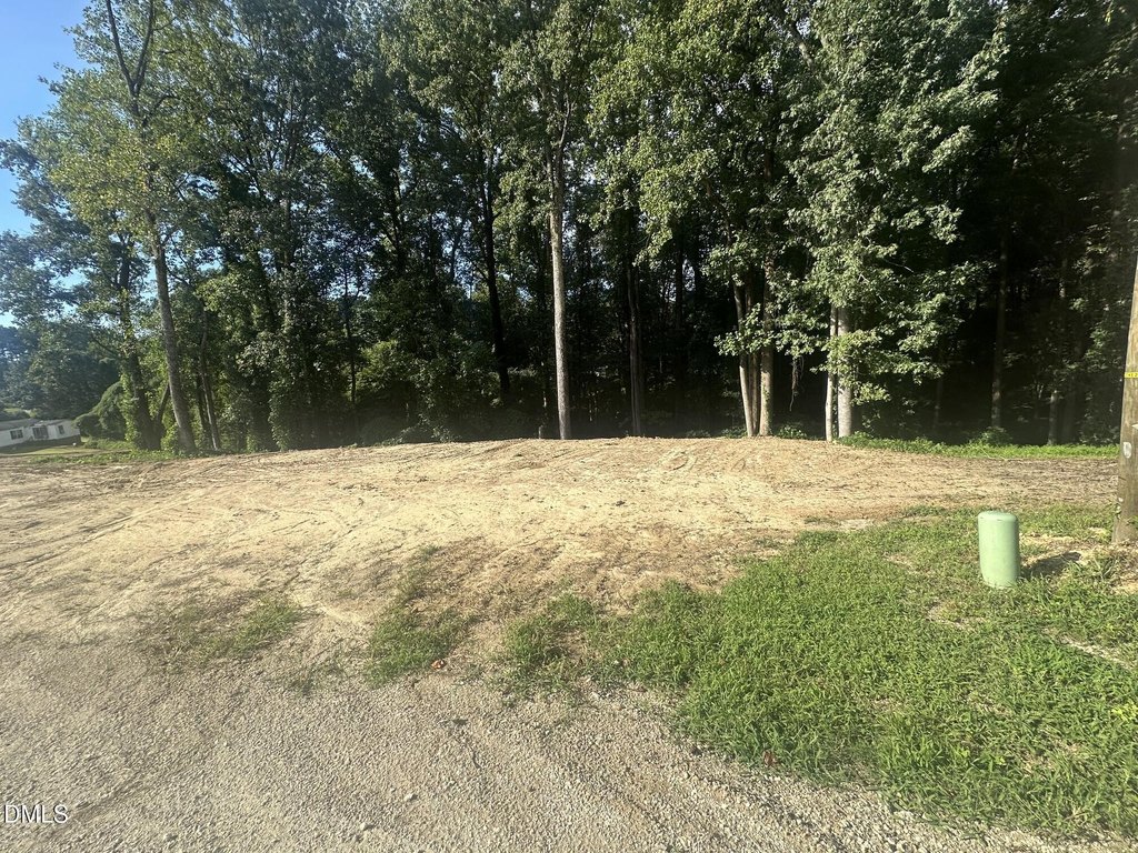 Picture 10
