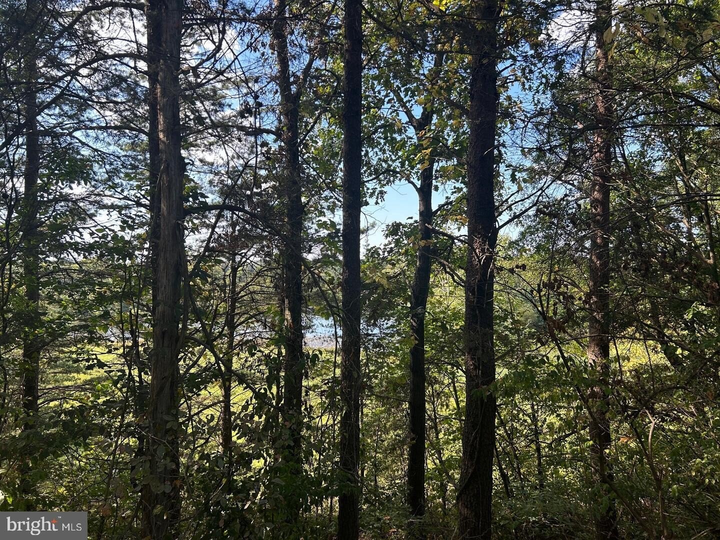 Land with Mountain Views