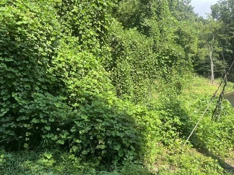 LAND - Soddy Daisy, TN