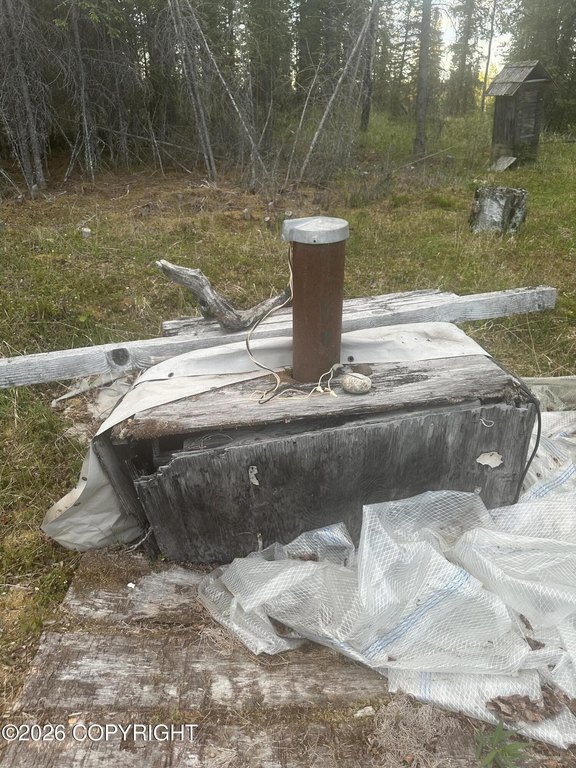 Picture 12