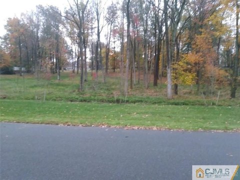 Residential Land in Colonia, NJ