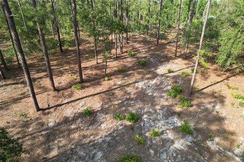 Cleared Agricultural Land Homesite