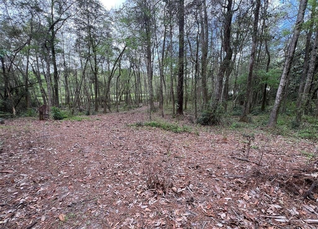 Picture 4
