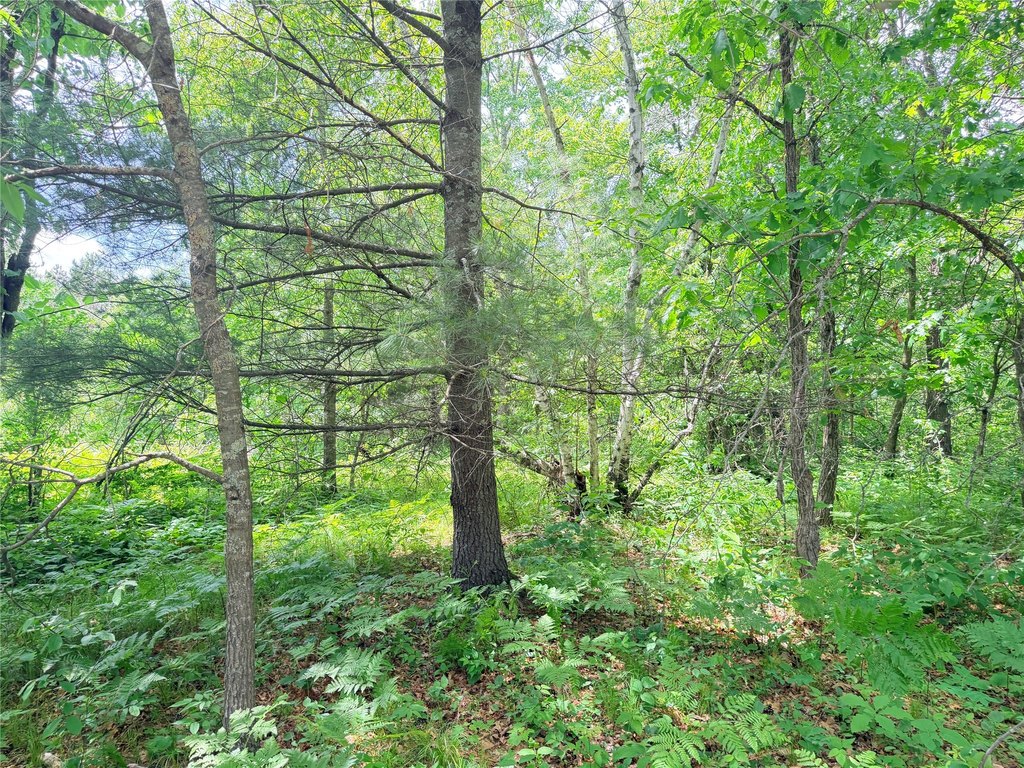 Picture 19