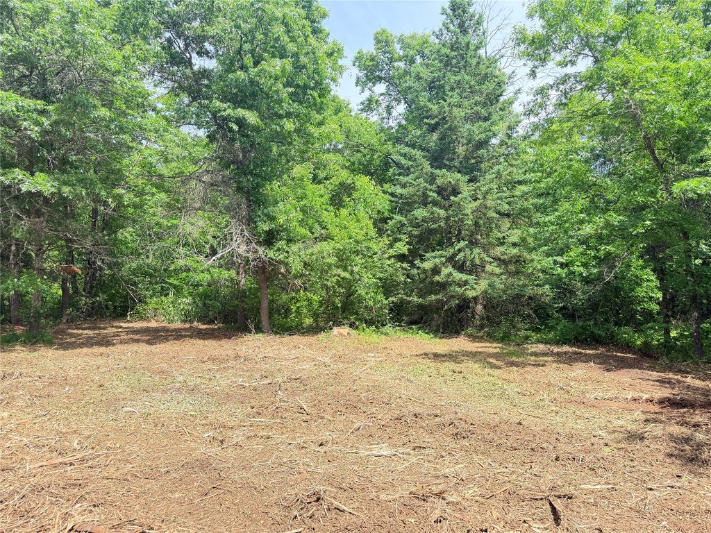 Picture 10