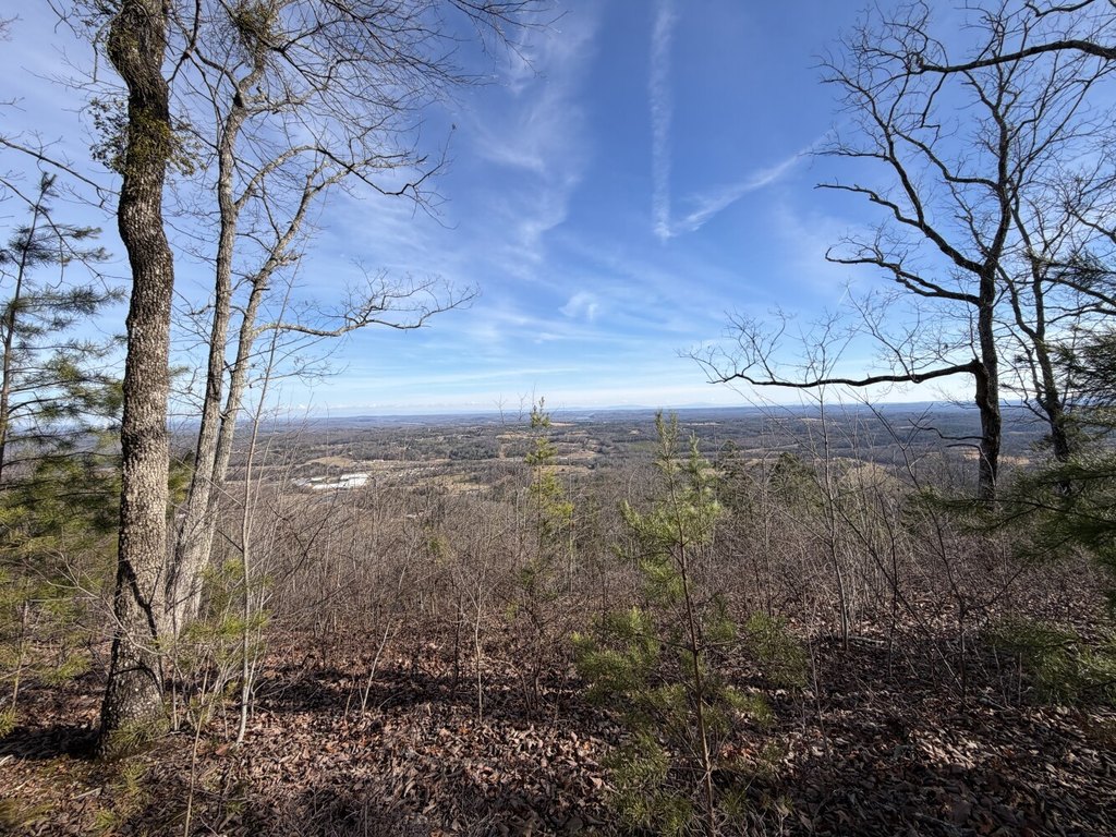 Picture 7