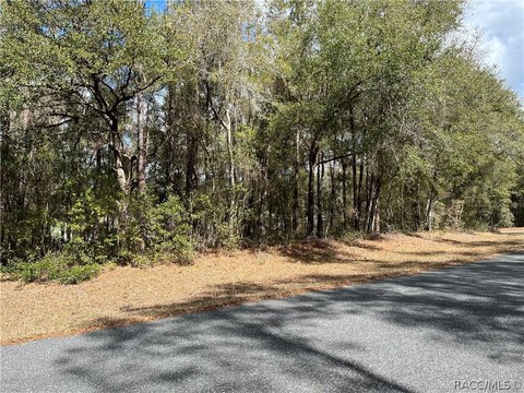 Dunnellon Land For Sale