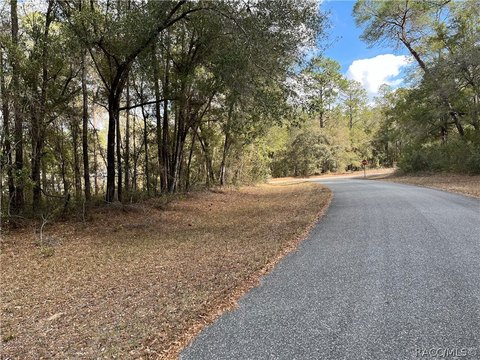 Residential Land in Citrus Springs