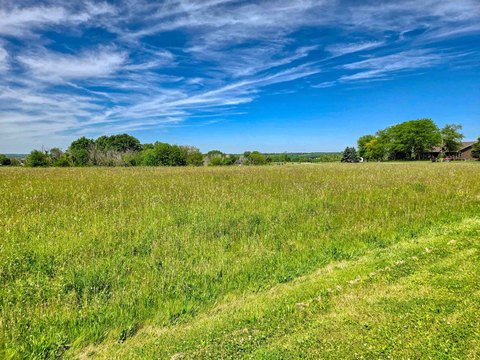 Equestrian Lot in Lake Carroll