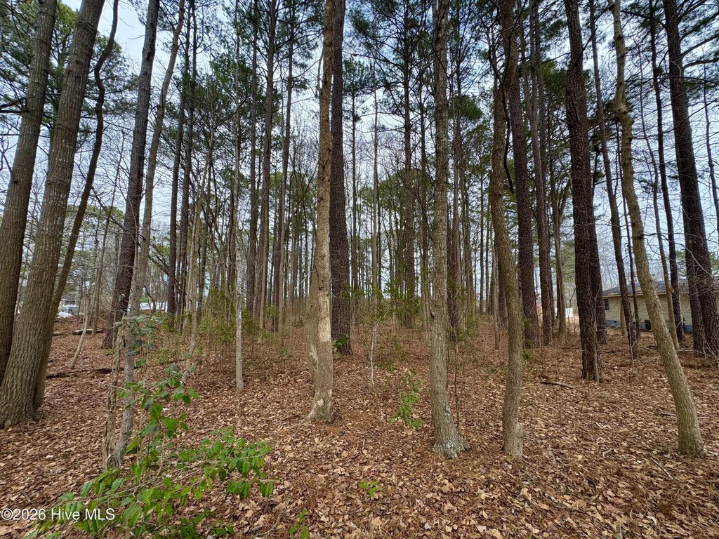 Picture 4
