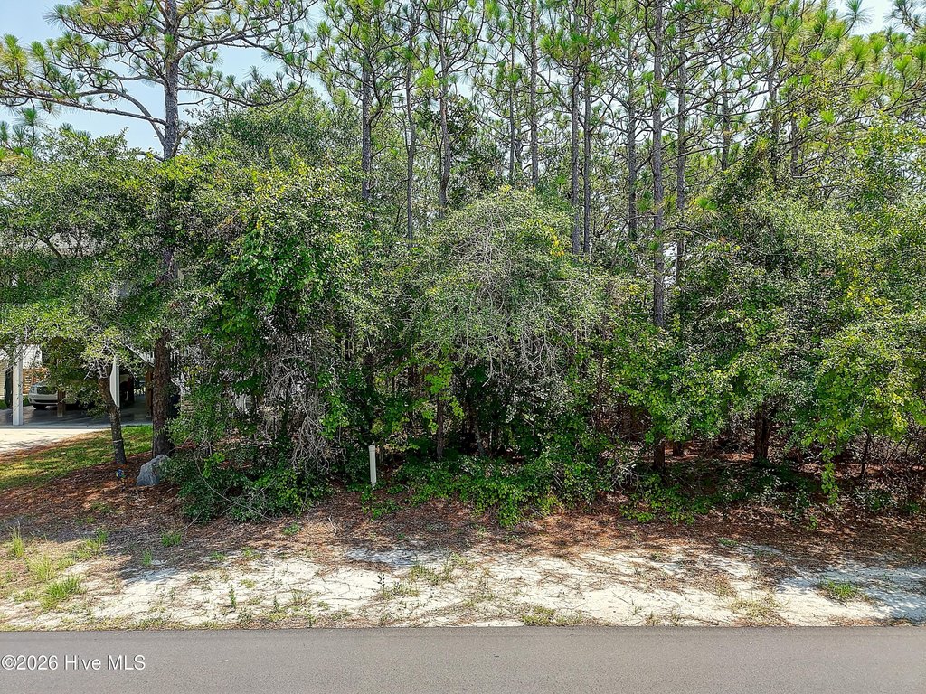 Picture 9