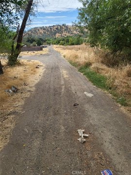 Cleared Lot Near Borax Lake