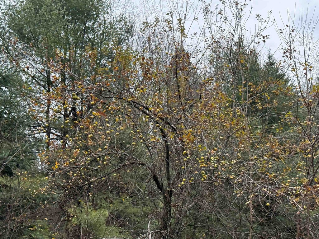 Picture 24
