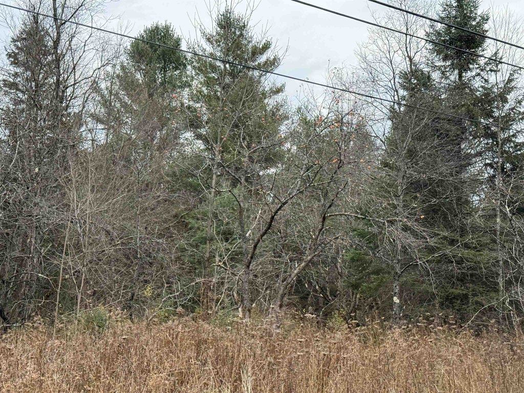 Picture 23