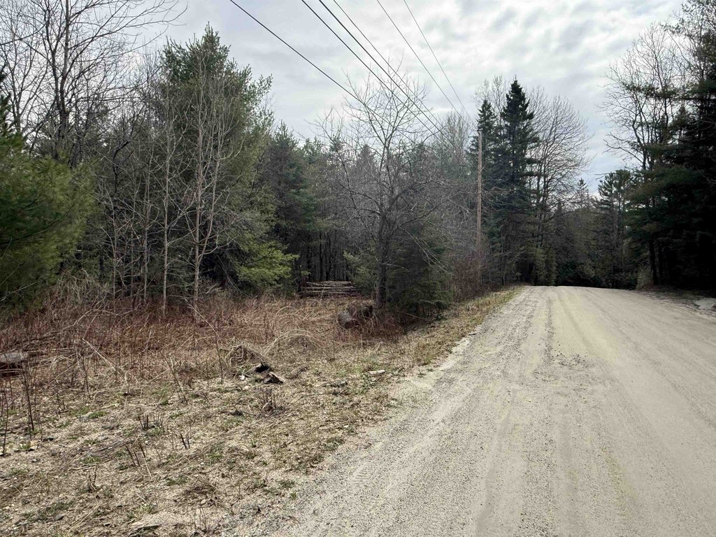 Picture 41