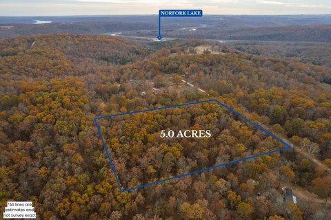 Secluded Wooded Land in Tecumseh