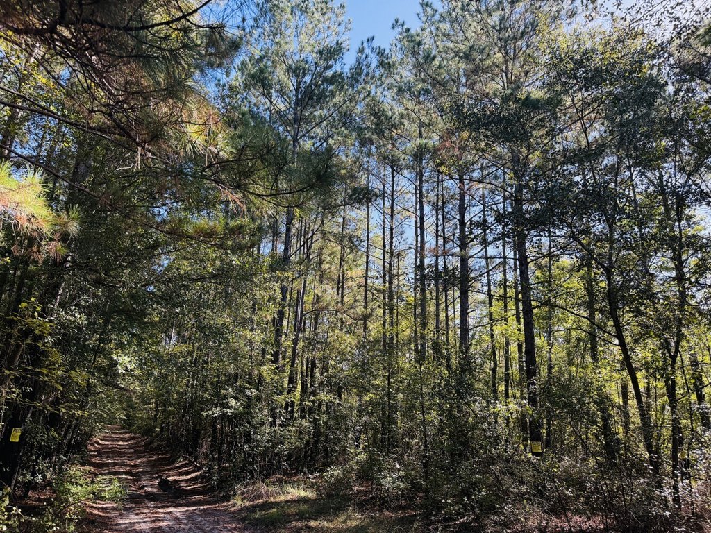 Picture 4