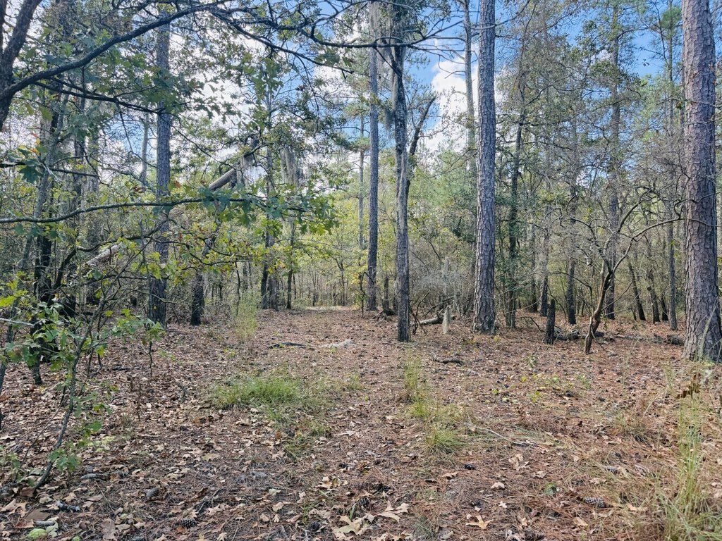 Picture 17