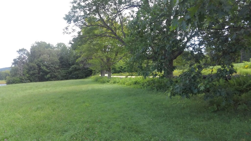 Picture 26