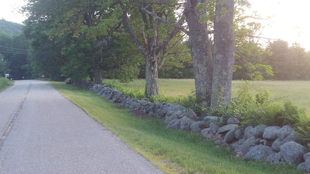 Picture 23