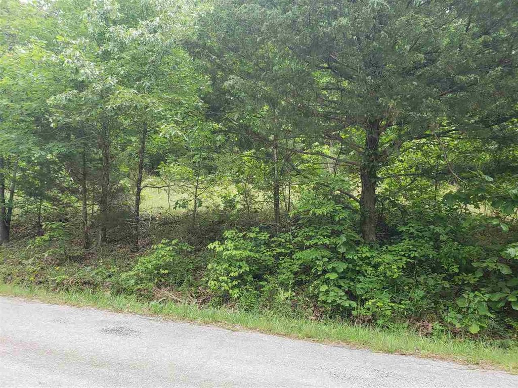 Picture 7