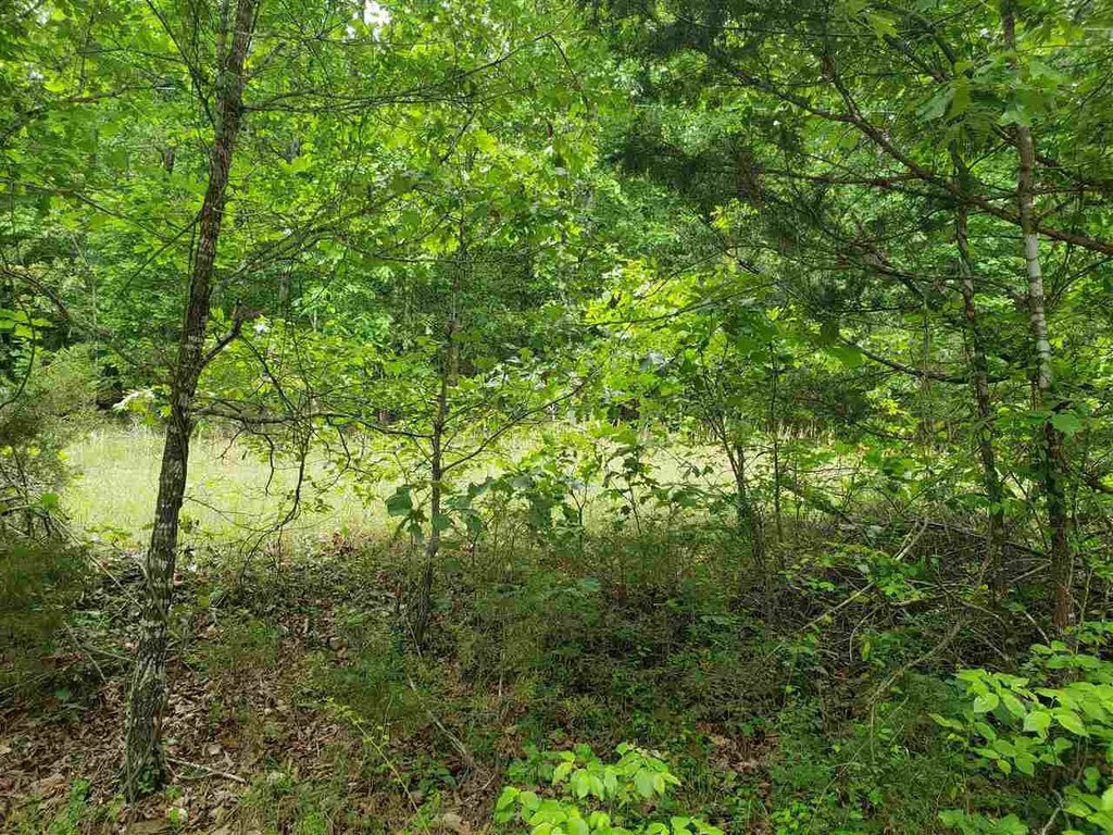 Picture 2