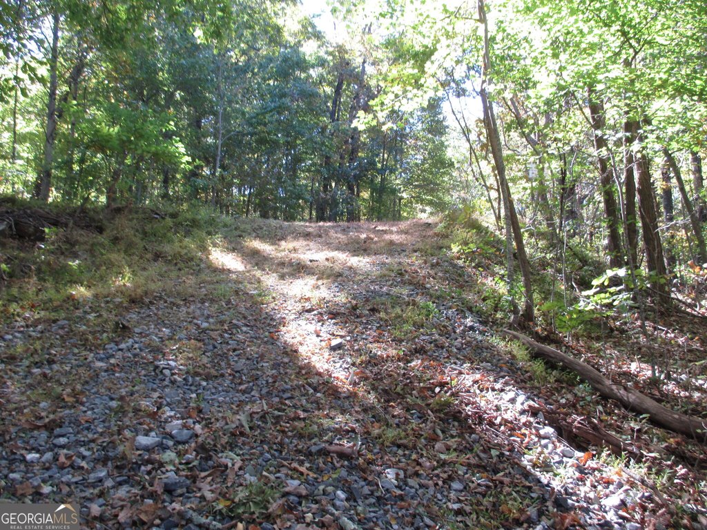 Picture 16