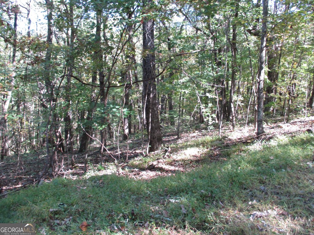 Picture 13