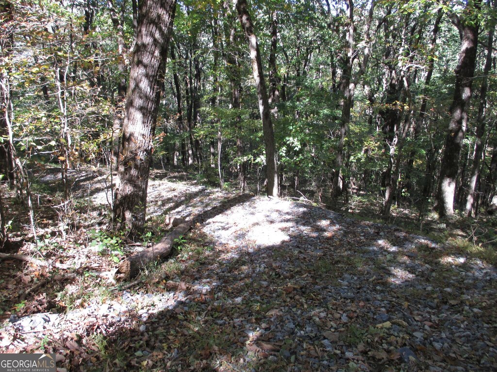 Picture 17